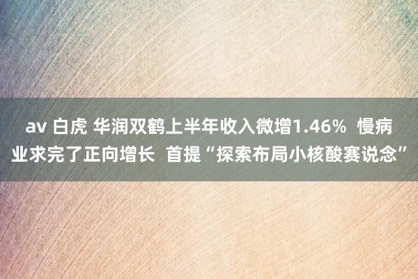 av 白虎 华润双鹤上半年收入微增1.46%  慢病业求完了正向增长  首提“探索布局小核酸赛说念”