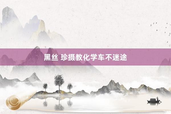 黑丝 珍摄教化学车不迷途