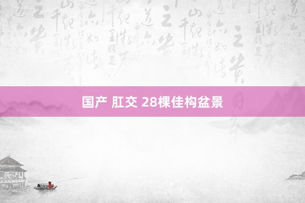 国产 肛交 28棵佳构盆景