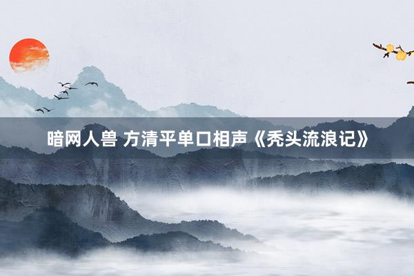 暗网人兽 方清平单口相声《秃头流浪记》