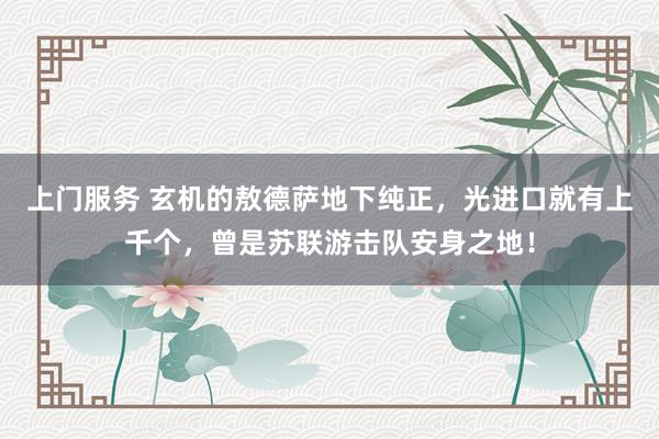上门服务 玄机的敖德萨地下纯正，光进口就有上千个，曾是苏联游击队安身之地！