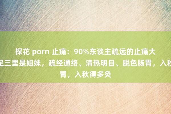 探花 porn 止痛：90%东谈主疏远的止痛大穴！与足三里是姐妹，疏经通络、清热明目、脱色肠胃，入秋得多灸