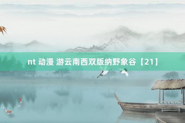 nt 动漫 游云南西双版纳野象谷【21】