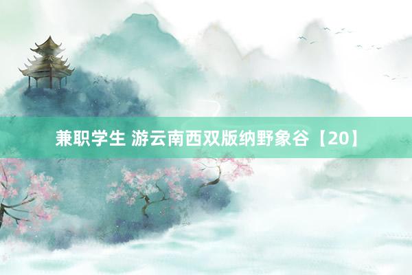 兼职学生 游云南西双版纳野象谷【20】