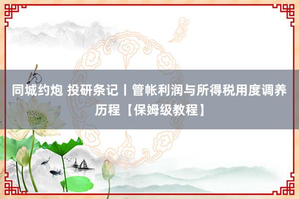 同城约炮 投研条记丨管帐利润与所得税用度调养历程【保姆级教程】
